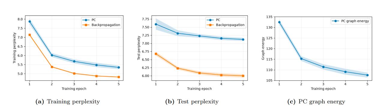 Training and test perplexity curves across five seeds for the predictive coding and backpropagation conditions
